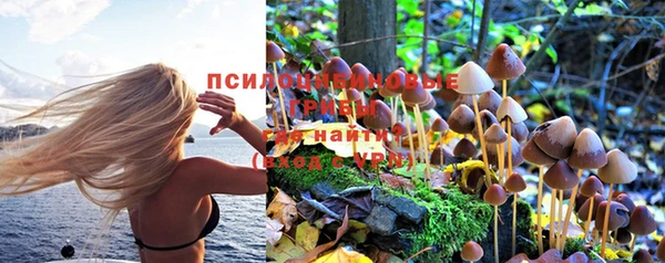 метадон Корсаков
